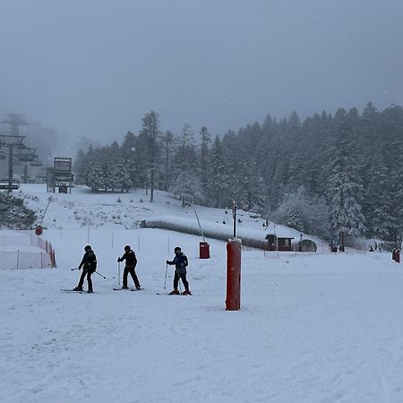 Gite A La Ferme Au Coeur De L'Auvergne Saint-Hippolyte  Εξωτερικό φωτογραφία